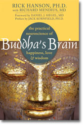 Buddha's Brain