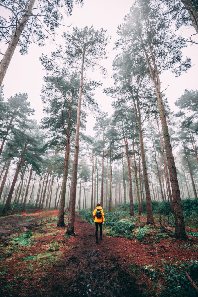 person standing alone in sparse forest, photo by Tom Holmes
